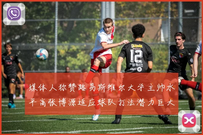 媒体人称赞路易斯维尔大学主帅水平高张博源适应球队打法潜力巨大